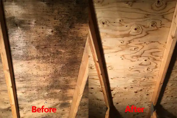 water damage restoration service Paincourtville